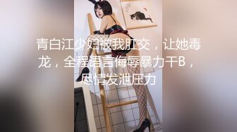 公园女厕暗藏摄像头偷拍27位美女少妇的各种美鲍鱼 (1)