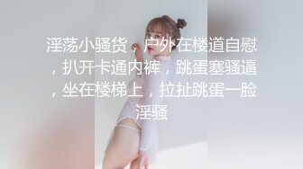 重磅核弹，【美艳淫妻李婉儿】花了600大洋，从婉儿那一手购得，山林中啪啪插逼~多部VIP视频