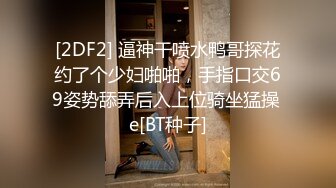 国产麻豆AV MD MD0204 痴汉外送员 程诗诗