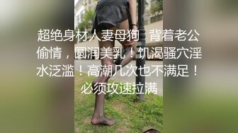 麻豆传媒-放纵情欲性感贵妇私下幽会3P性爱高潮