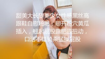 国产麻豆AV MSD MSD042 交换女友 欧妮