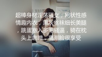 超棒身材淫荡骚女，网状性感情趣内衣，黑灰丝袜细长美腿，跳蛋塞入多毛骚逼，骑在枕头上磨蹭，高潮脸很享受