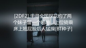 [2DF2]轻熟阿姨和美艳少妇的接客对比，美艳少妇看起来被操的舒服，会叫一些 [BT种子]