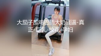 后入沈阳某大学骚货