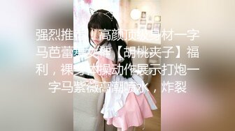 强烈推荐！高颜顶级身材一字马芭蕾舞女神【胡桃夹子】福利，裸身体操动作展示打炮一字马紫薇高潮喷水，炸裂