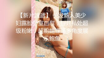 ★☆稀缺资源☆★推特30万粉母狗【Ella小骚狐】野外露出 调教 多P付费订阅 (5)