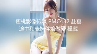 蜜桃影像传媒 PMC432 赴宴途中和表妹伴娘做爱 程葳