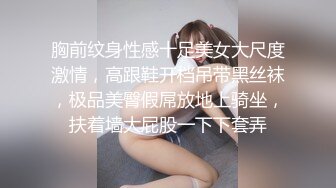 胸前纹身性感十足美女大尺度激情，高跟鞋开档吊带黑丝袜，极品美臀假屌放地上骑坐，扶着墙大屁股一下下套弄