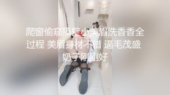 麻豆傳媒 兔子先生監制 TZ122 我們的約定 七濑戀