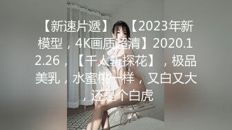 重磅12月女神福利，推特极品身材长腿露出娇淫妻【傲娇小仙女】最新私拍，洗澡户外露出一字马放尿销魂紫薇淫语挑逗v (6)