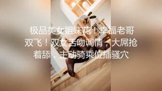 十月新流出魔手外购手持厕拍大神CC潜入办公大楼女厕偷拍白领尿尿黑裙美女轻轻的擦逼