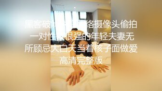 撕破黑丝后入豹纹丁字裤翘臀