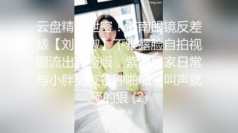 （哈尔滨）小妖重磅回归（2）禁止内容