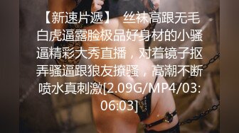 STP34600 糖心Vlog小性奴Cosplay雷姆強制性愛不準偷偷高潮 小二先生