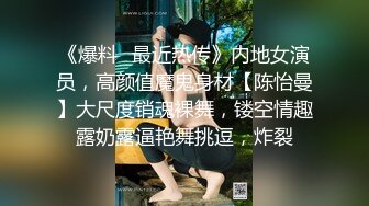 收集的一些淫妻BBC题材的合集2【292V】 (211)