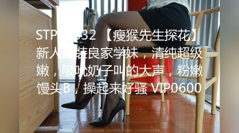 骚母狗女仆后入