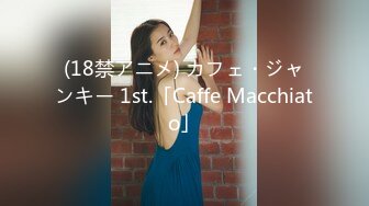 (18禁アニメ) カフェ・ジャンキー 1st.「Caffe Macchiato」