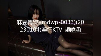 麻豆傳媒)(mdwp-0033)(20230104)淫行KTV-趙曉涵