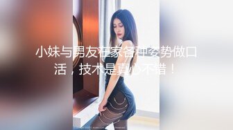 艺校传媒系毕业高挑大长腿美模璐璐酒店大尺度私拍透明黑丝太完美