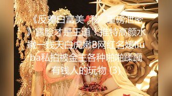 颜值巅峰秀人网女神模特【鹿依】私拍视图流出，道具紫薇援交金主又舔又抠啪啪 (11)