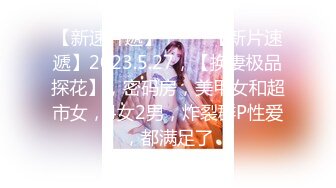 星之迟迟 23年12月计划C明日奈女仆