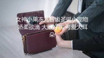 网络调教淫贱小母狗