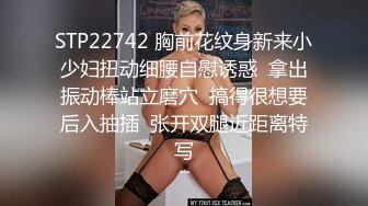 STP22742 胸前花纹身新来小少妇扭动细腰自慰诱惑  拿出振动棒站立磨穴  搞得很想要后入抽插  张开双腿近距离特写