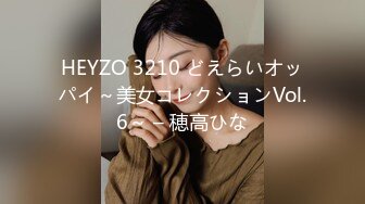 HEYZO 3210 どえらいオッパイ～美女コレクションVol.6～ – 穂高ひな