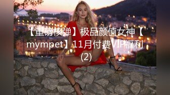 【重磅核弹】极品颜值女神【mympet】11月付费VIP福利 (2)