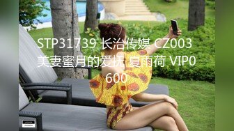 STP31739 长治传媒 CZ003 美妻蜜月的爱抚 夏雨荷 VIP0600