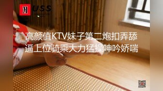 麻豆传媒-屌丝逆袭攻略KTV激情性爱深入享受-蜜苏