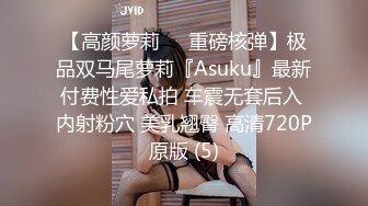 【高颜萝莉❤️重磅核弹】极品双马尾萝莉『Asuku』最新付费性爱私拍 车震无套后入 内射粉穴 美乳翘臀 高清720P原版 (5)