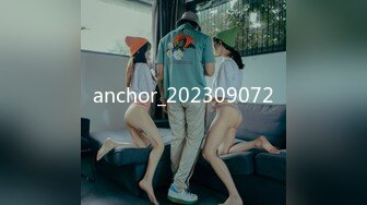 anchor_202309072