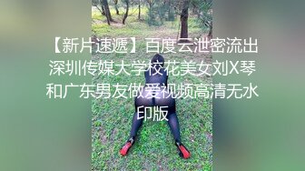 后入沈阳某大学骚货