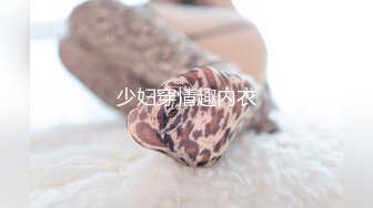 虎森森 狗狗剧情图包